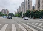 “净优亮美”进行时 | 泰安北路改造完工通车！