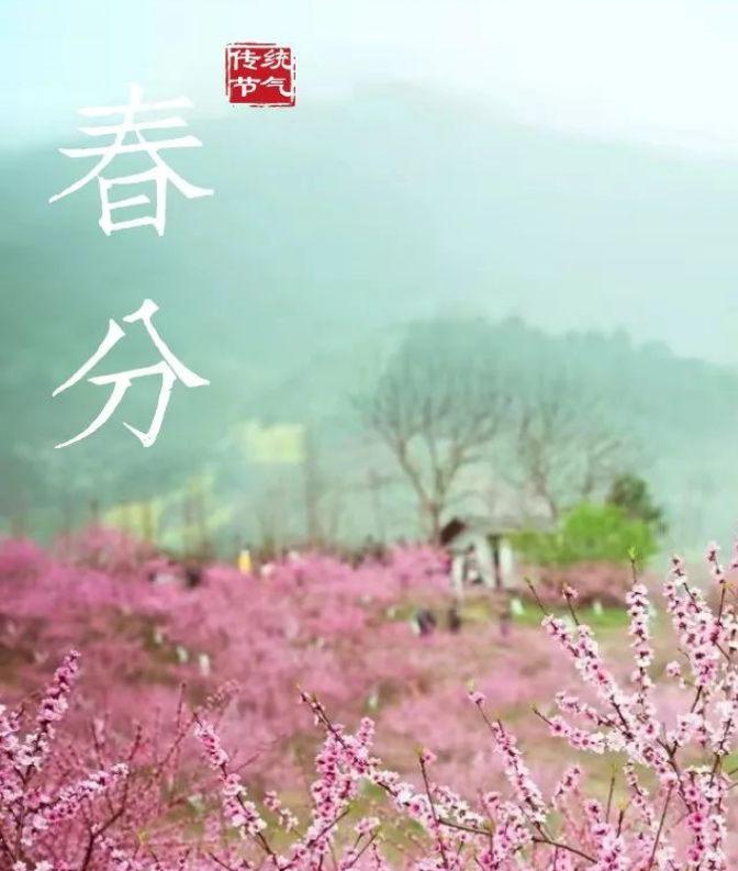 微信图片_20220301132321.png