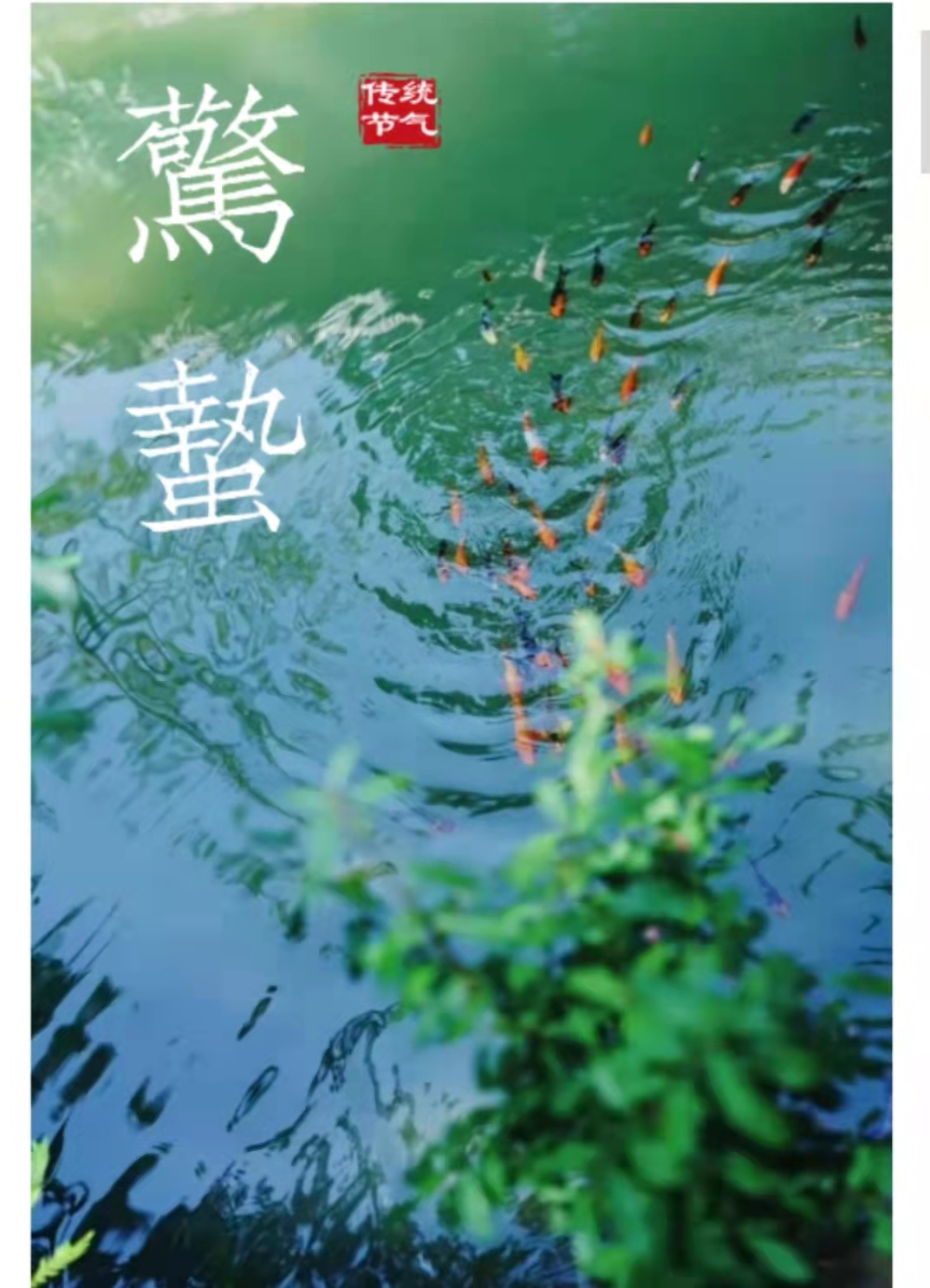 微信图片_20220301132753.jpg