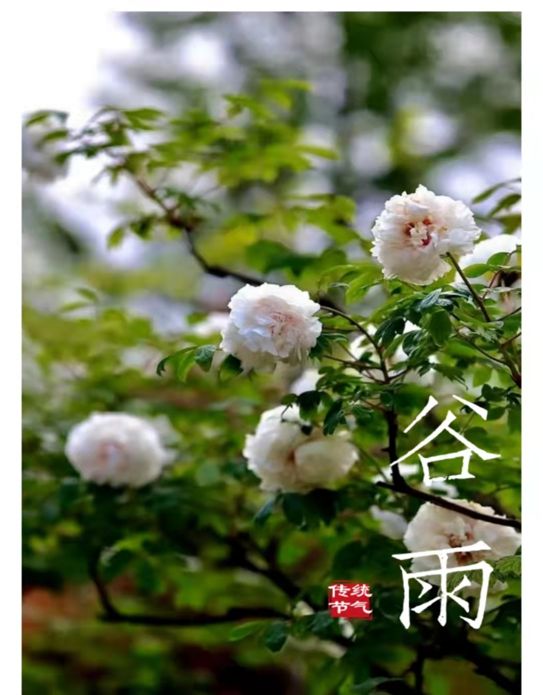 微信图片_20220301132801.jpg