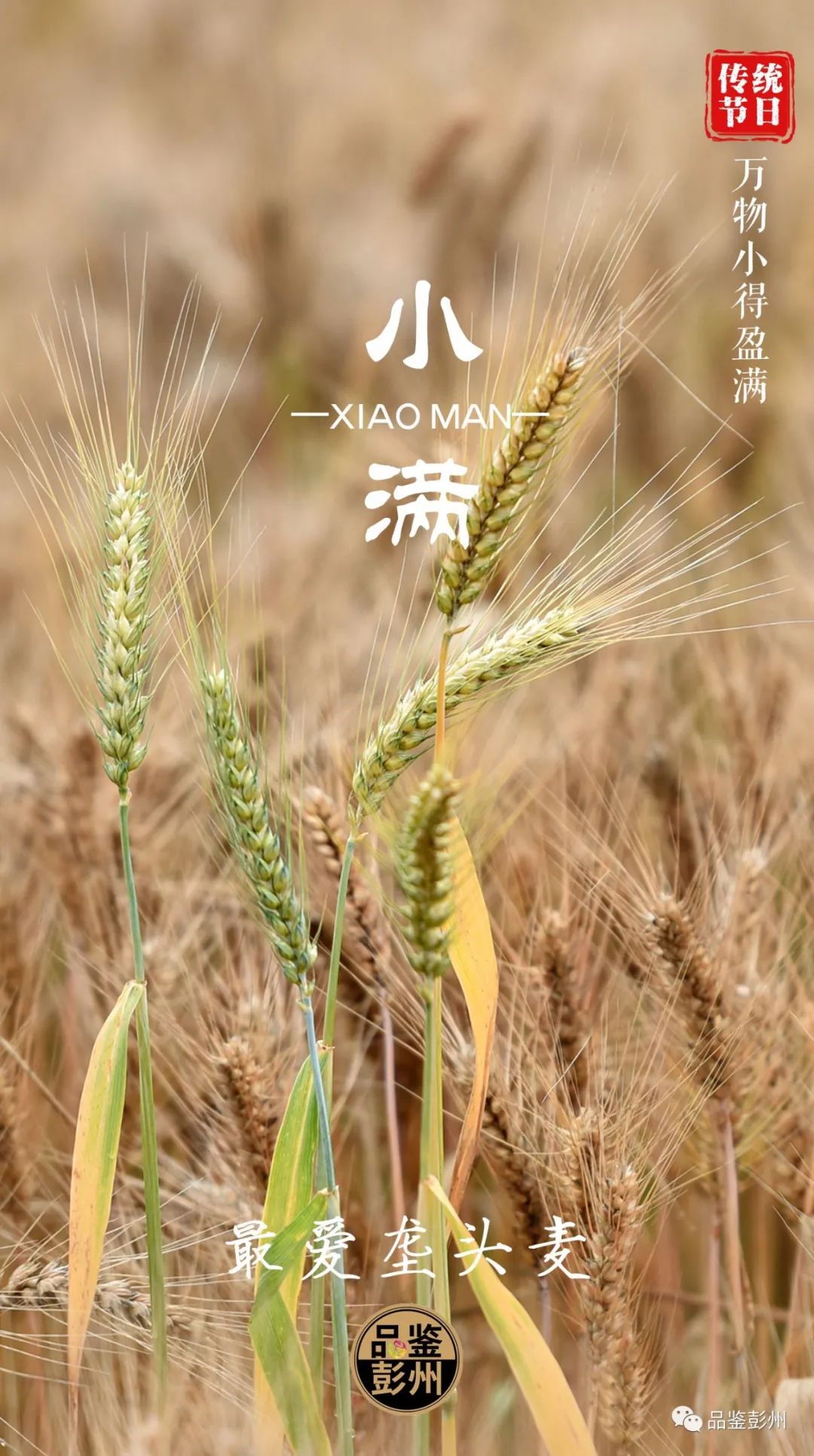 微信图片_20090826053314.jpg