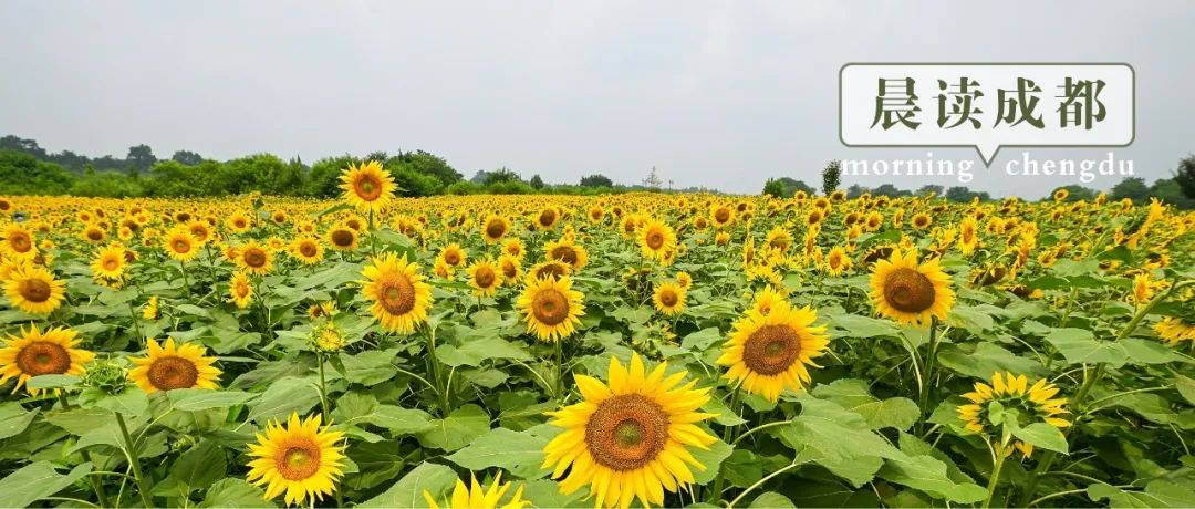 微信图片_20220706115319.jpg