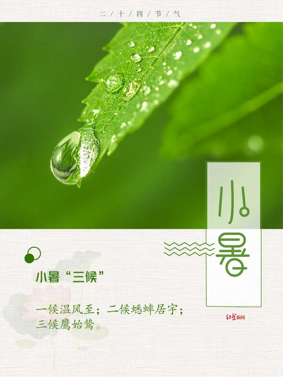 微信图片_20220707115459.jpg