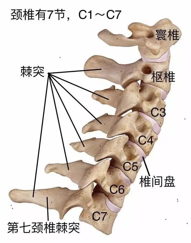 微信图片_20220709101305.jpg