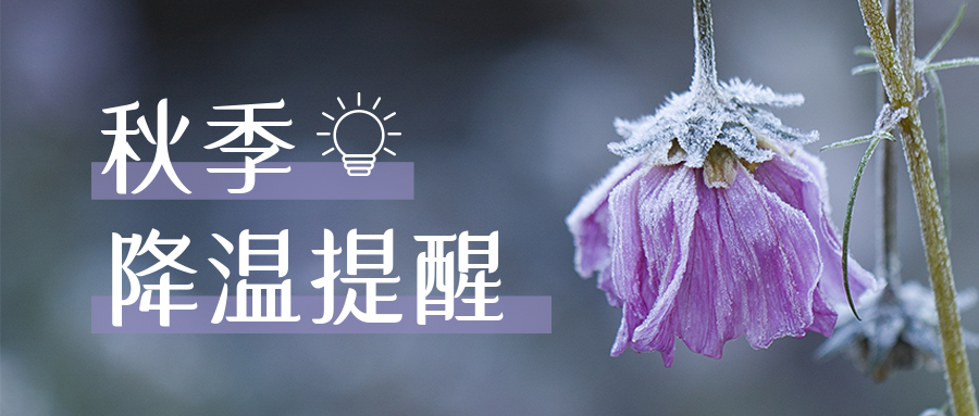 6555fbbb65fe61c15cc7cfa1fce10f27.jpg