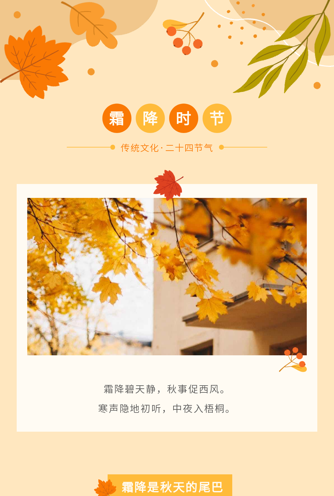 6aaee88fc2b354539e3700bdcb13d1fe.jpg