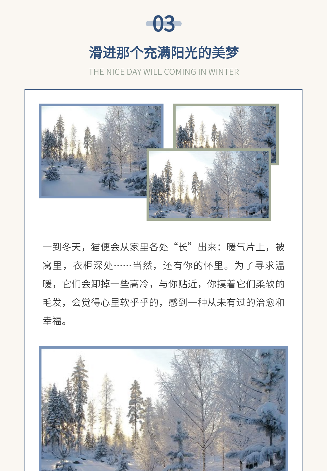 92b83a38182a848619f13e3e3d5e6f06.jpg