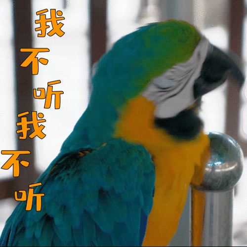70a311175ae8256c88aa73534bb875b2.gif