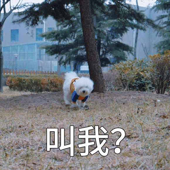 f874092c396783bd9c58ff04035f5d2d.gif