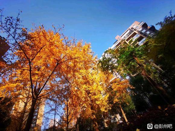 秋色与暖阳的完美组合-8.jpg
