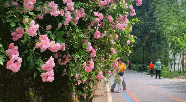 190247f2x24w97wx75qw2o.gif