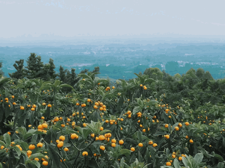 190248rpgw2vv1b0h2p5bq.gif