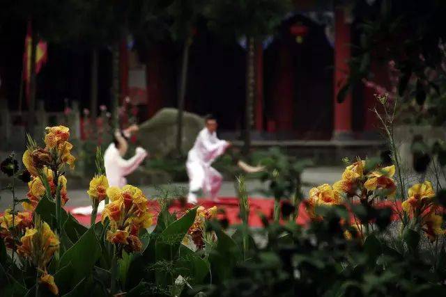 173121vivuwbwubgu9i492.jpg 173121vivuwbwubgu9i492.jpg