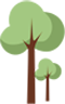 151902yrcd96rqwkar3tn8.png
