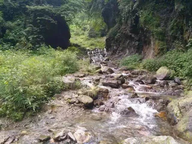 174837f28ccpgjmvo6ddz9.jpeg