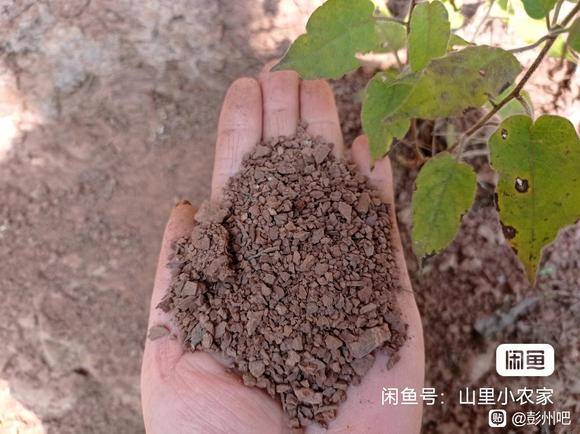 给彭县老乡送个66红包-2.jpg