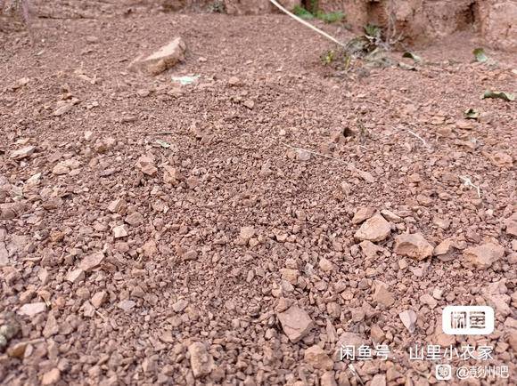 给彭县老乡送个66红包-3.jpg