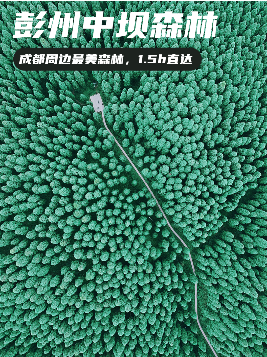 08c4a816bd2b01e43fa49581ed046f5f.png