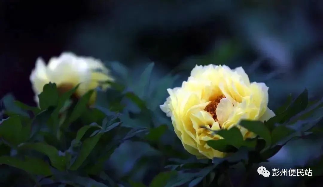 210644a8700663jk6sj7h7.jpeg