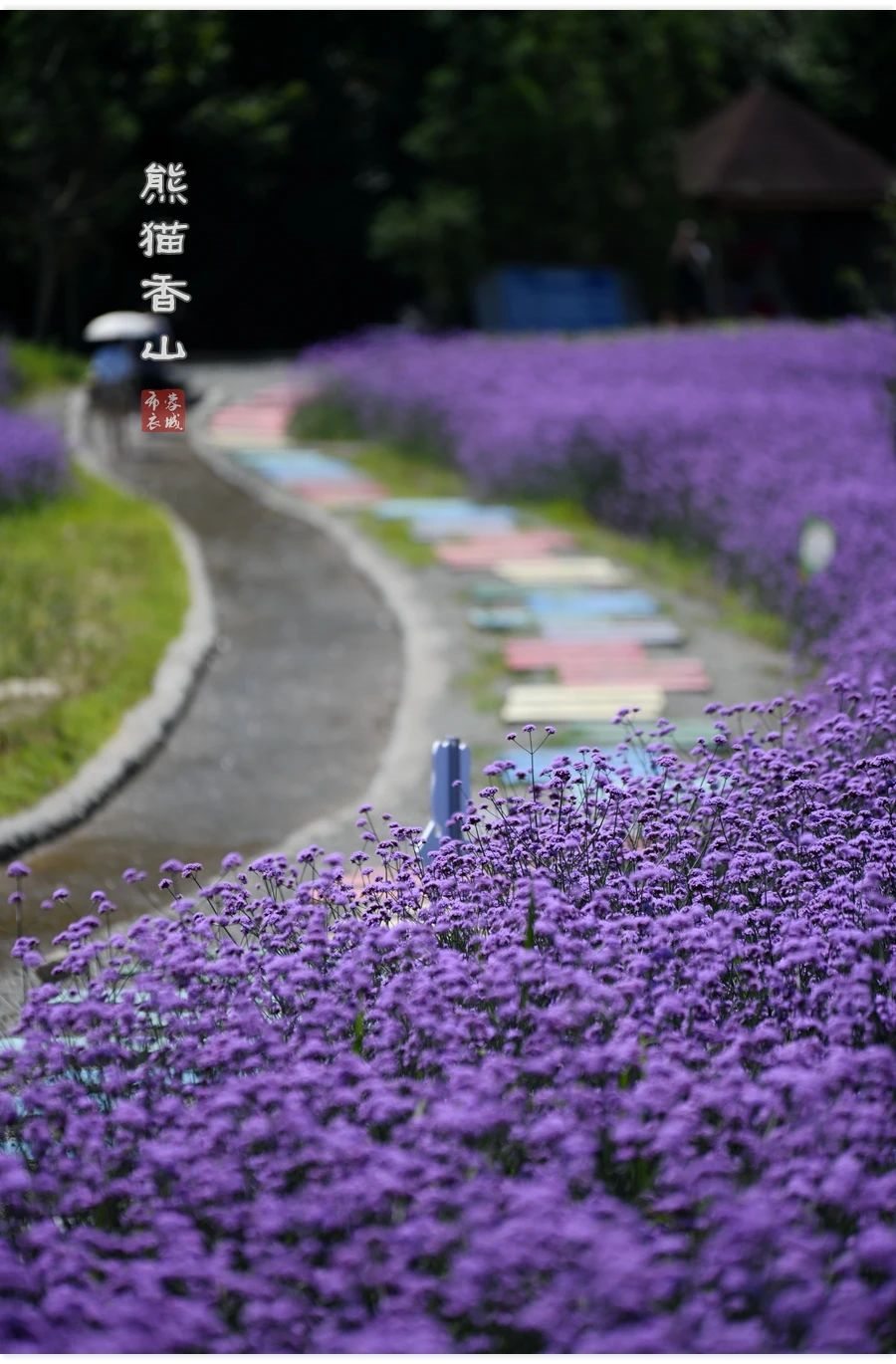 eb3a1c5289c07770edc22a8888ce1f57.png