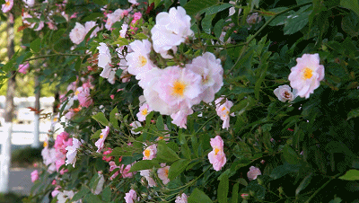 002343mnk5fqk77r5s977q.gif