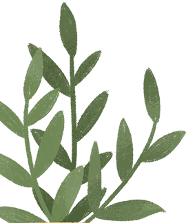 200939nup1n1ue8b3l4r0b.png