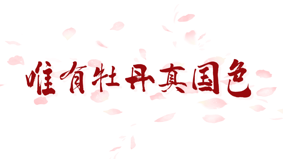 4cff0a5e288051c792a0dc1fc23386ef.png