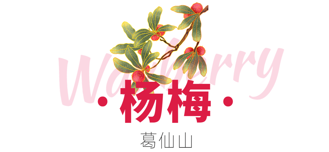 172956x8c1vprvc66xp6od.png