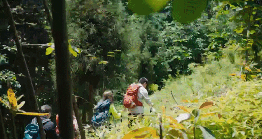 214441tv37ds6593lel5f5.gif