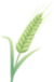 231356w5o4x25yky7mnzz2.png