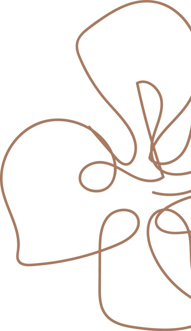 211647dzs65xslz1slx3mk.png