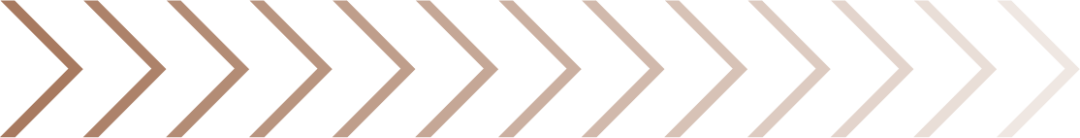 211747i2w2fxxvxz8vgelw.png