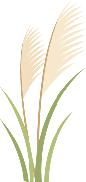 161801u74k740m888nkzm1.png