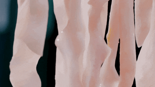 200222fh50fb3ki3i1xifs.gif