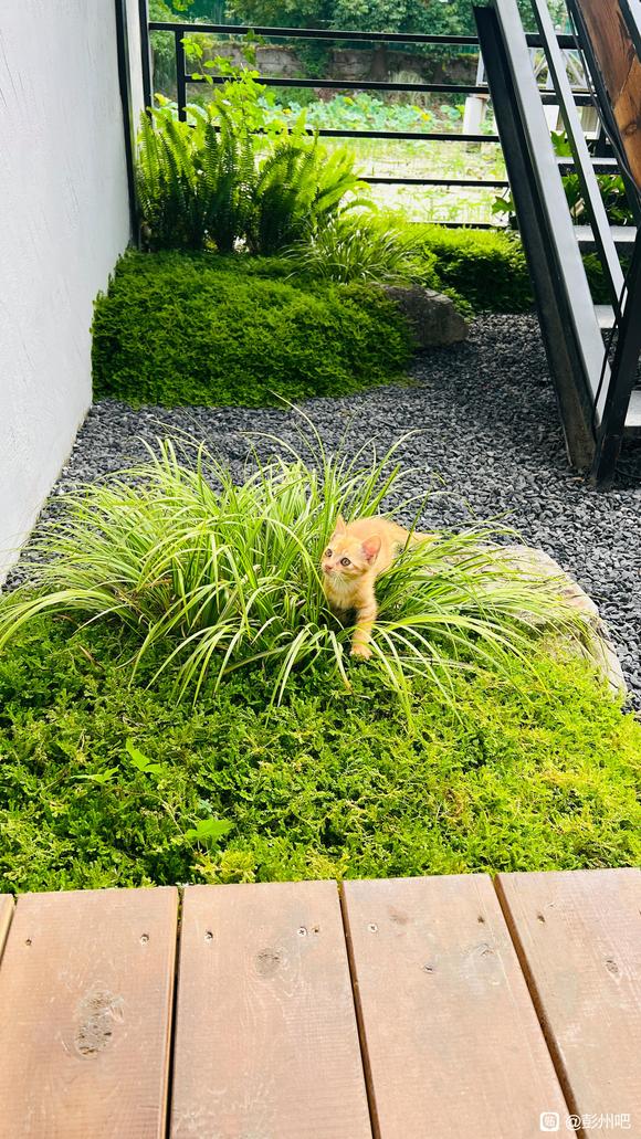 彭州庭院茶酒吧天花板-8.jpg