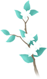 100828jiafxg54je34wuux.png