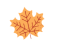 175613gh7z44hwgmodmm70.gif