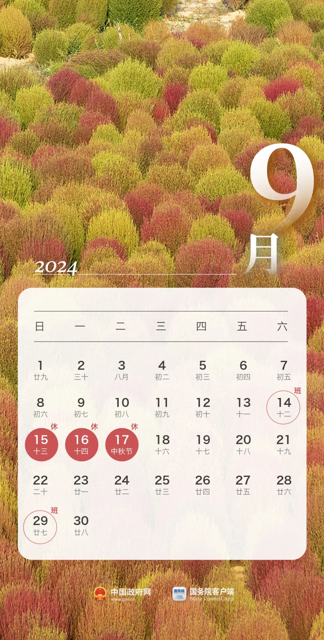 180930zg0cv2rh1g0ur14h.jpeg