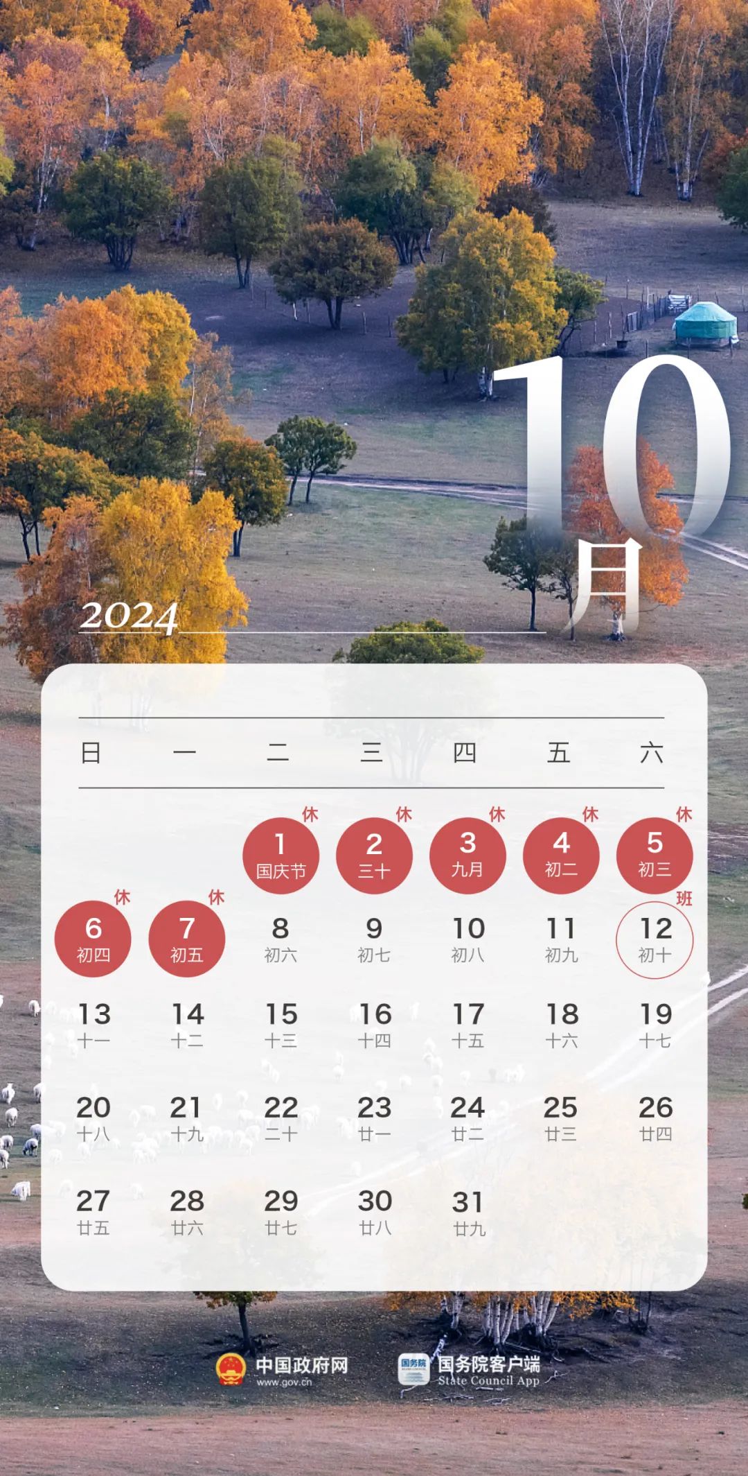 180944yi3b3k655nc5kdy2.jpeg
