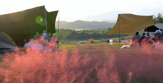 174309ao9frrj23pobo6ci.gif