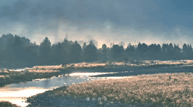 174328pbvlarqz5qgylg6z.gif