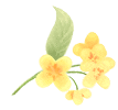 174420p2qsopcpqt3nusd0.gif