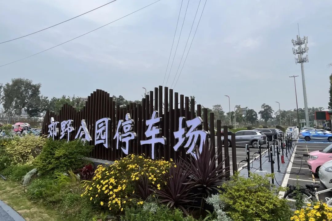 170857rsbrac8rsntbsxcs.jpeg