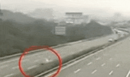 171308ko5ojo26j9kl2q0x.gif