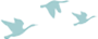 175034rxcwtlajkq1eny1z.png