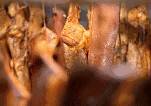 175735pk3v2j2jgjslekhs.gif