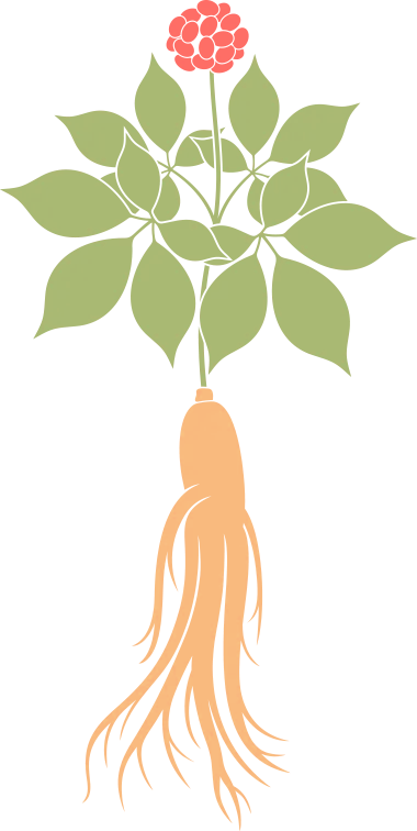 171909xz2o5le6f69b35ur.png