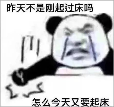 173702mhaw2gzxpdk5pk27.jpeg