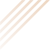 172955d29fs29bj9999r61.png