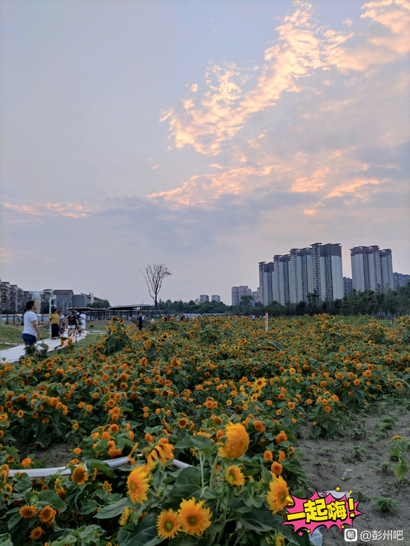 有没有买房买在和悦澜庭的，那里房子怎么样？-1.jpg